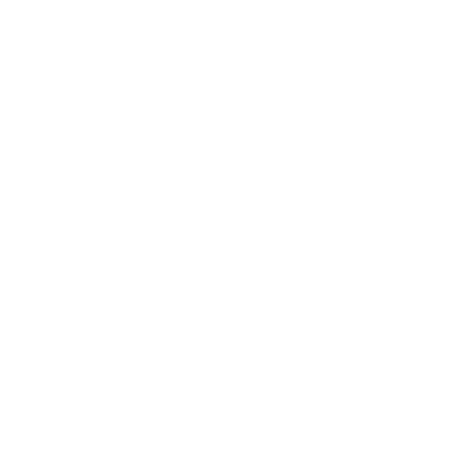11 Es